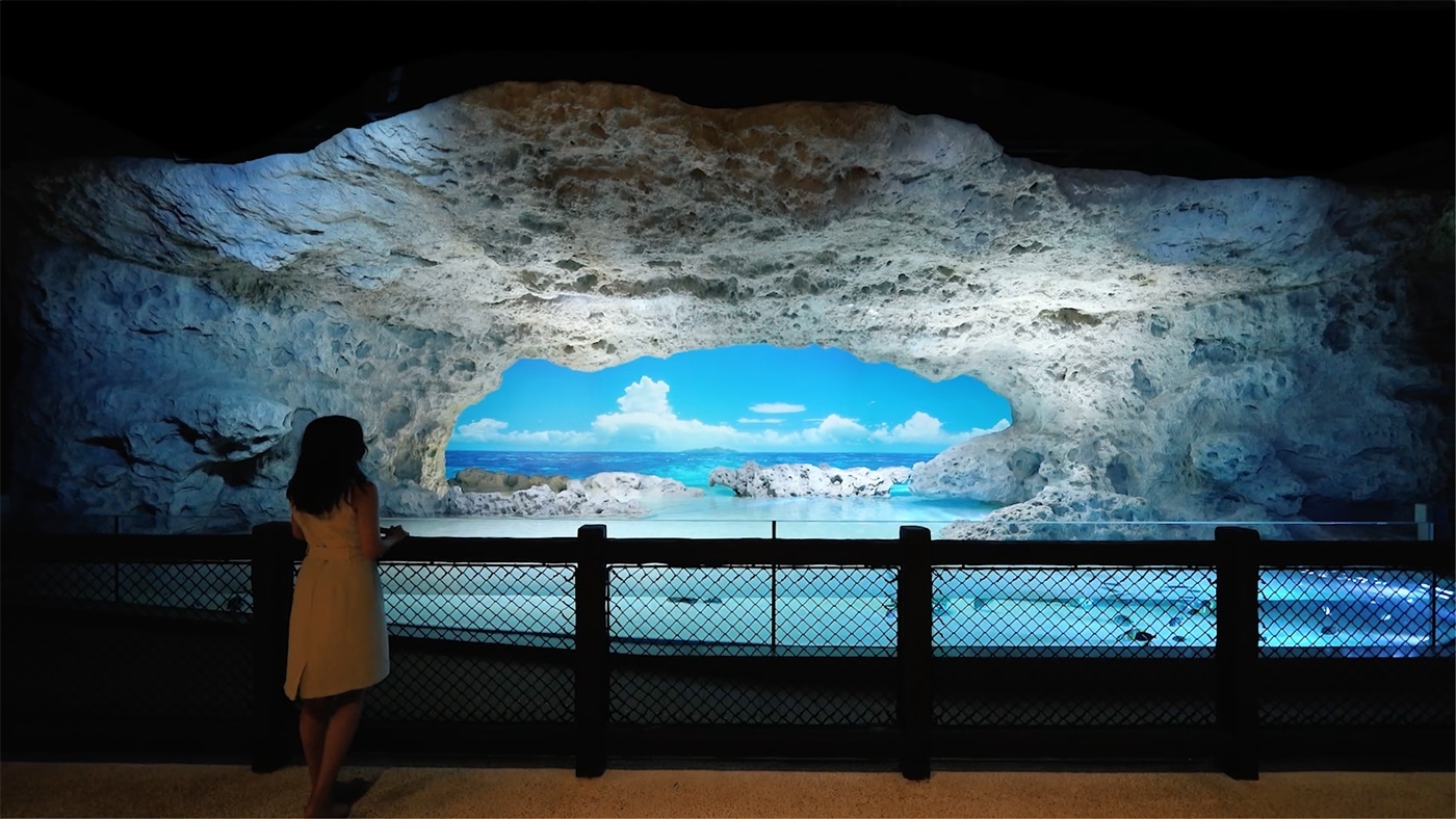 DMM KARIYUSHI AQUARIUM