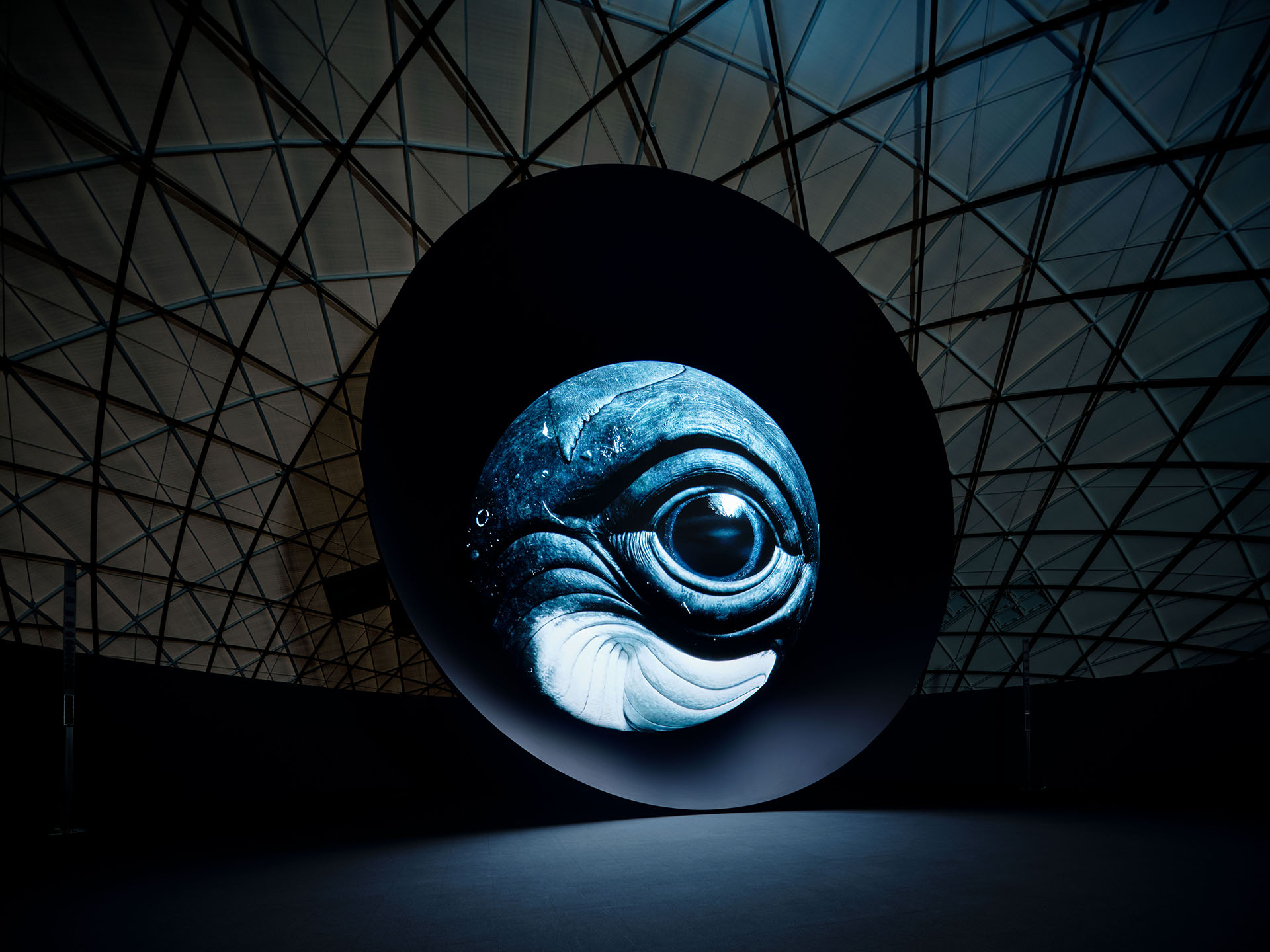 大阪・関西万博2025「BLUE OCEAN DOME」